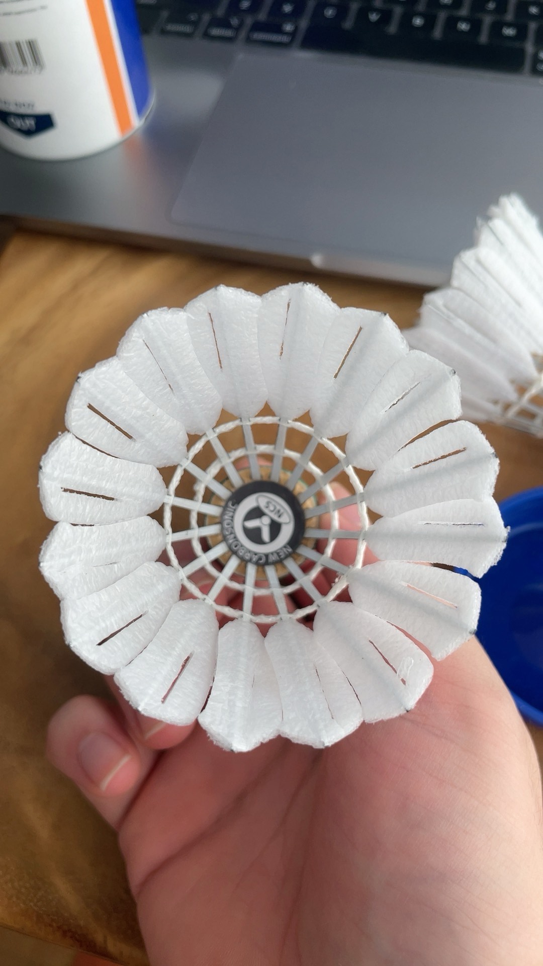 的篮球魅力 的篮球魅力