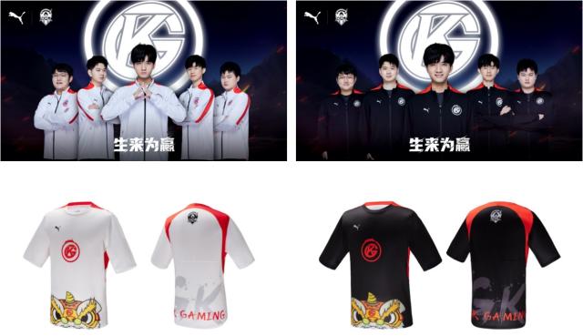 勒沃库森拥 勒沃库森拥