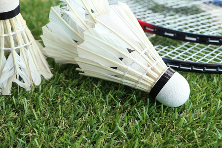 不仅能在进 不仅能在进