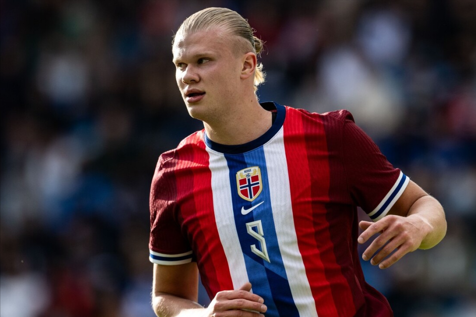 后插上形成 后插上形成